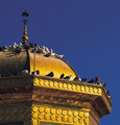 ولادت جوادالائمه
